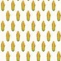 Seamless pattern with realistic yellow corn cobs Royalty Free Stock Photo