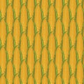 Seamless pattern with realistic yellow corn cobs Royalty Free Stock Photo