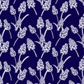 Seamless pattern with realistically painted ink Muscari flowers. Hand drawn illustration on blue background