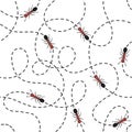 Seamless pattern of red ants workers running along the black tracks on white background. Pattern from collection