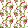 Seamless pattern with red berries of barberry