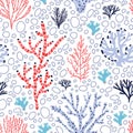 Seamless pattern with red and blue corals and seaweed on white background. Backdrop with tropical aquatic species, sea Royalty Free Stock Photo