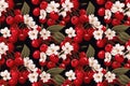 seamless pattern with red cherry berries on branches of a flowering tree white flowers on black background Royalty Free Stock Photo