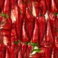 seamless pattern Red Chili pepper. isolated on white background Royalty Free Stock Photo