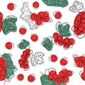 Seamless pattern of red currant fruit. White background with red currant berries. Best for design of food packaging juice breakfas