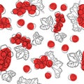 Seamless pattern of red currant fruit. White background with red currant berries. Best for design of food packaging juice breakfas