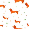 Seamless pattern with red dog and graass. Royalty Free Stock Photo