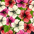 Seamless pattern with flowers hibiscus