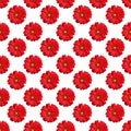 Seamless pattern of red gerbera flowers on white background isolated, bright orange daisy flower repeating ornament, wallpaper