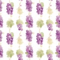Seamless pattern of Red grapes bunch. Winery object, realistic grape isolated on white background. Fresh farm raw ingredient Royalty Free Stock Photo