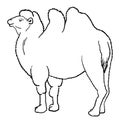 Black image of stylized bactrian camel