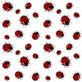 Seamless pattern red ladybirds on white background