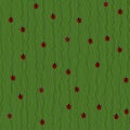 Seamless Pattern with Red Ladybugs and Ladybirds on a Dark Green Background. Royalty Free Stock Photo