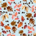 Seamless pattern of red leaves and acorns of canadian northern oak on a blue background Royalty Free Stock Photo