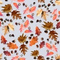 Seamless pattern of red leaves and acorns of canadian northern oak on a lilac background Royalty Free Stock Photo