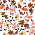 Seamless pattern of red leaves and acorns of canadian northern oak on a white background Royalty Free Stock Photo