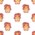 Seamless pattern red pansies. Spring flower isolated on white background.