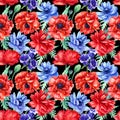 Seamless pattern of red poppies and blue anemones flowers on isolated black background, watercolor illustration Royalty Free Stock Photo