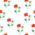 Seamless pattern red poppies, buds isolated on white background.. Wild flower girly motif, vector design eps 10 Royalty Free Stock Photo