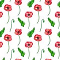 Seamless pattern with red poppies. Colorful flowers. Watercolor hand drawn illustration isolated on white background. Texture for