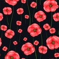 Seamless background with red poppies Royalty Free Stock Photo