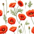 Seamless pattern of red poppies. Watercolor painting