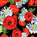 Seamless pattern with red poppies, white chamomile flowers