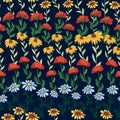 Seamless pattern with red poppies, white chamomile flowers, yellow rudbeckia. Summer flower field, meadow.