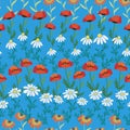 Seamless pattern with red poppies, white chamomile flowers, yellow rudbeckia. Summer flower field, meadow.