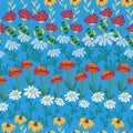 Seamless pattern with red poppies, white chamomile flowers, yellow rudbeckia. Summer flower field, meadow.