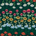 Seamless pattern with red poppies, white chamomile flowers, yellow rudbeckia. Summer flower field, meadow.