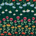 Seamless pattern with red poppies, white chamomile flowers, yellow rudbeckia. Summer flower field, meadow.