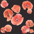 Seamless Pattern With Red Poppy.