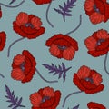 Seamless pattern with red poppy flowers. Papaver. Hand drawn line art sketch vector illustration. Ornate elegant summer Royalty Free Stock Photo