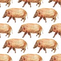 Seamless pattern with red river hog