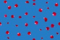 Seamless pattern of red rose petals on a blue sky Royalty Free Stock Photo