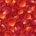 Seamless pattern of red rose petals Royalty Free Stock Photo