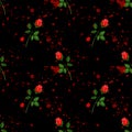 Seamless pattern with red rose sprigs and splashes. On black background.