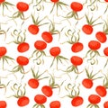 Seamless pattern with red rosehips berries. Watercolor illustration on white background