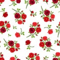 Seamless pattern with red roses branches. Vector illustration.