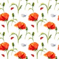 Seamless pattern with red summer flowers and leaves on white background, watercolour poppy, butterfly, hand drawn sketch Royalty Free Stock Photo