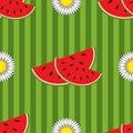 Seamless pattern of red watermelon slices and white flowers on a colored striped background Royalty Free Stock Photo