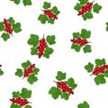Seamless Pattern of Redcurrant