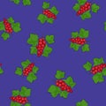 Seamless Pattern , Redcurrant on Purple Background