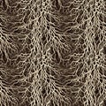 Seamless  pattern. Rhizomes white against the background of brown soil. Texture monochrome Royalty Free Stock Photo