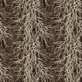 Seamless  pattern. Rhizomes white against the background of brown soil. Texture monochrome Royalty Free Stock Photo