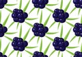 Seamless pattern with ripe acai berries, leaves. Brazilian superfruit. Euterpe oleracea. Superfood for healthy life