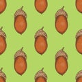 Seamless Pattern with Ripe Acorn Royalty Free Stock Photo