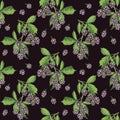 Seamless pattern with ripe blackberry fruits and green leaves. A hand-drawn watercolor illustration on a black Royalty Free Stock Photo