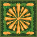 Seamless pattern of ripe carrot with leaves